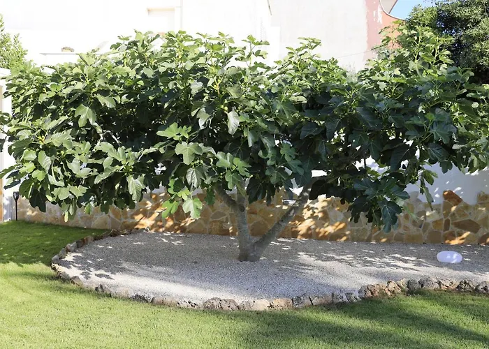 Bed and Breakfast A Casa Di Sofia Porto Cesareo